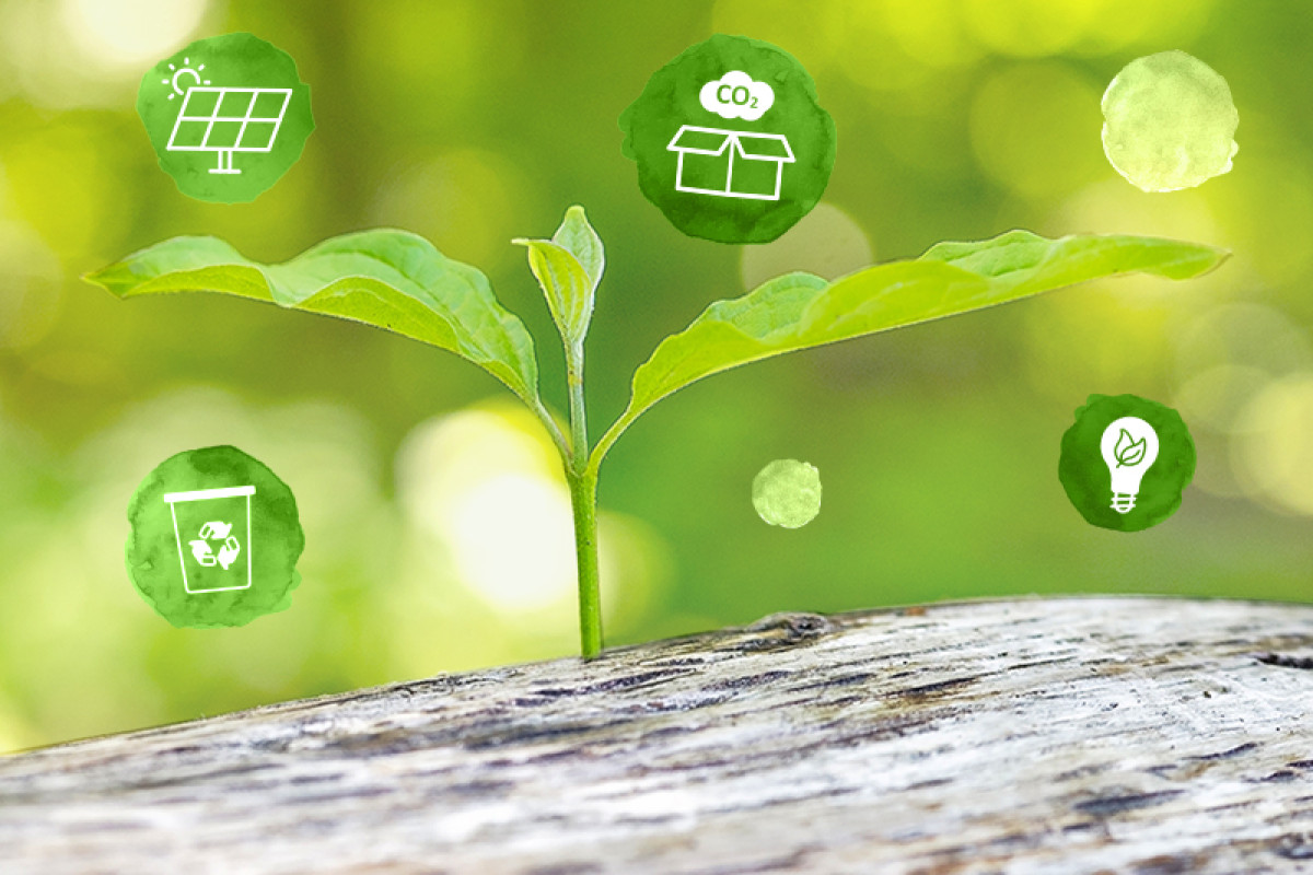 Grüner Keimling auf Holzstamm mit Symbolen für Solarenergie, CO₂‑Reduktion, Recycling und Energieeffizienz.